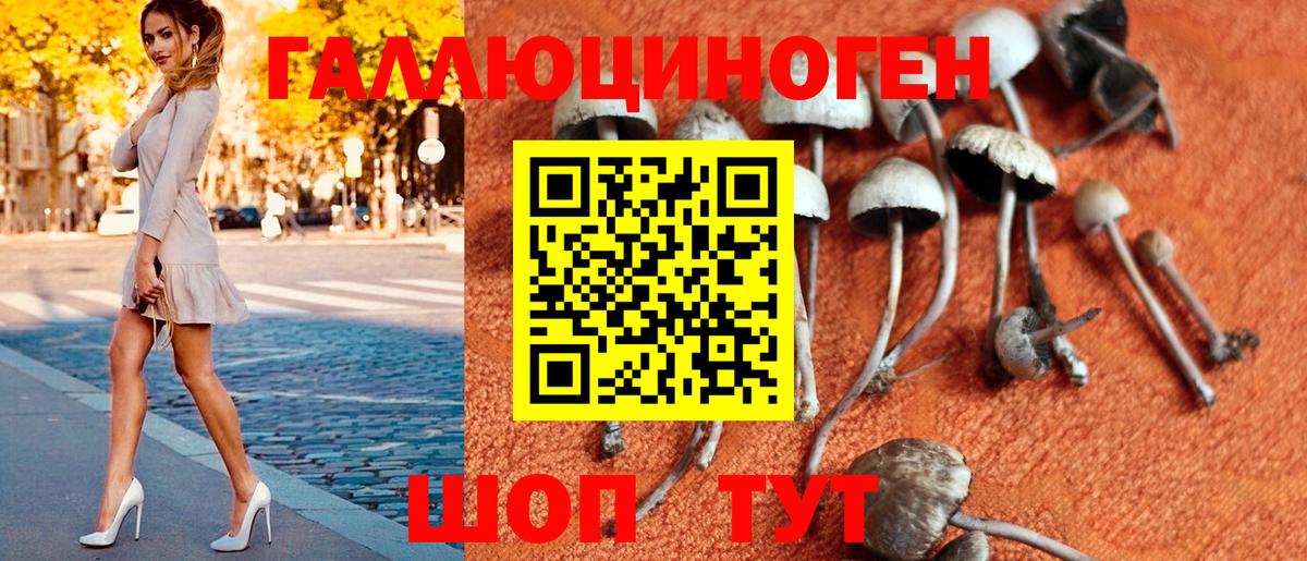 Омск  Галлюциногенные грибы MAGIC MUSHROOMS  Вход с VPN 
